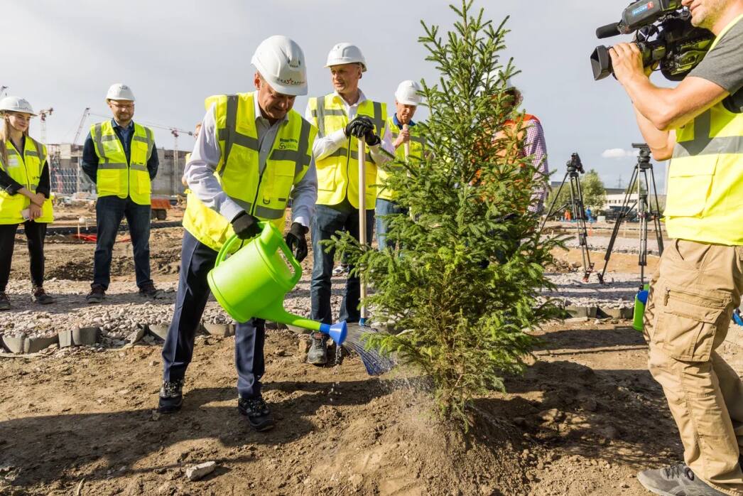 На территории будущего парка «СКА Арены» высадили первую аллею деревьев - фото