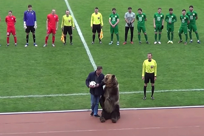 Медведь открыл матч ПФЛ в Пятигорске (ВИДЕО) - фото