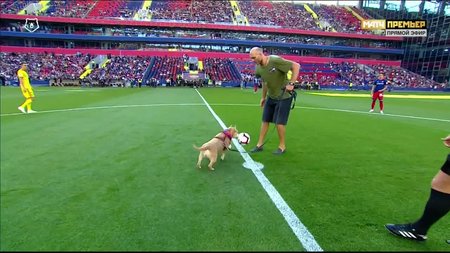 Капитаны ЦСКА и «Арсенала» вышли на поле в сопровождении собак - фото