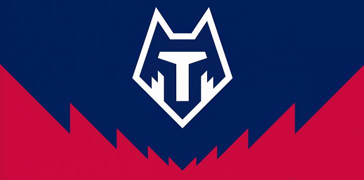Канадская регбийная команда проверит законность логотипа «Тамбова» - фото