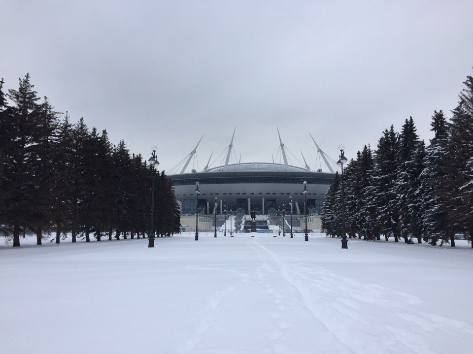 Стадион на Крестовском завершат строить в декабре - фото