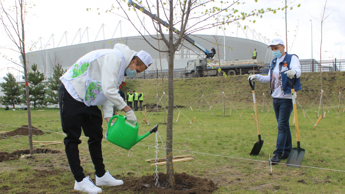 Александр Максименко посадил дерево в честь своего прадеда-ветерана ВОВ - фото