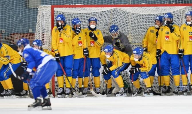 Сборная Швеции стала третьей на чемпионате мира по хоккею с мячом - фото