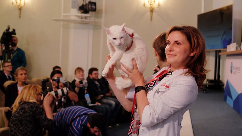 Кот против популярности Кержакова - фото