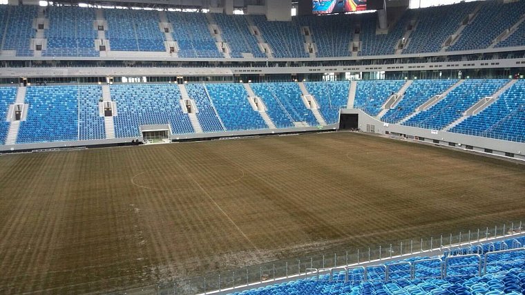 Директор департамента ФИФА: Проблема вибрации поля будет решена через две недели, газон на стадионе расцветает - фото