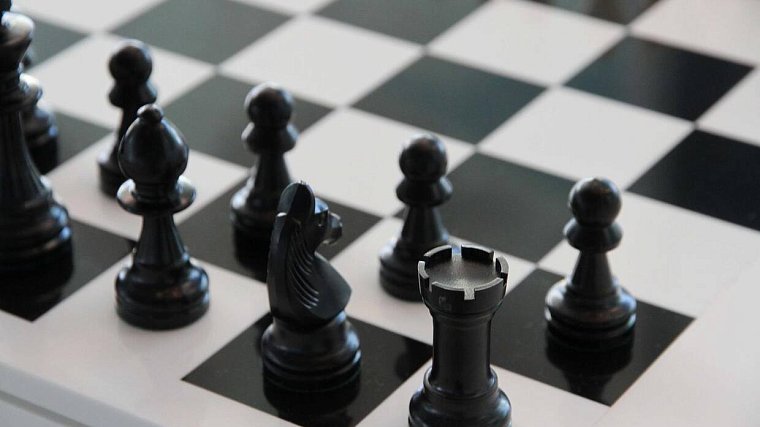 ФИДЕ развивает шахматы в Африке: Египет уже выиграл - фото
