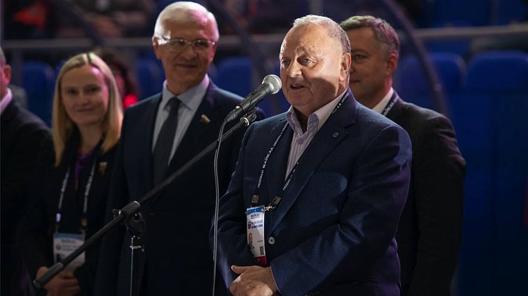 Скрынник единогласно переизбран главой российской Федерации хоккея с мячом - фото