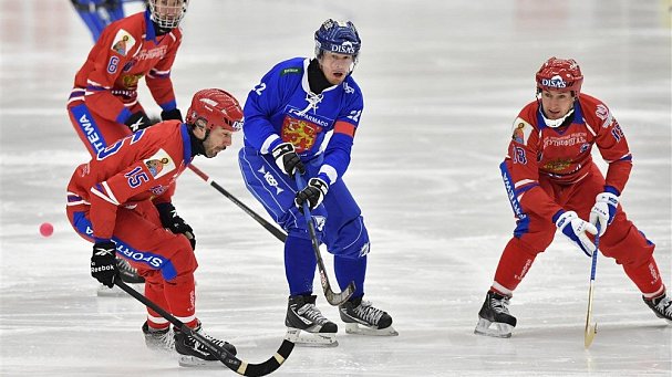 В России появится мини-хоккей с мячом - фото