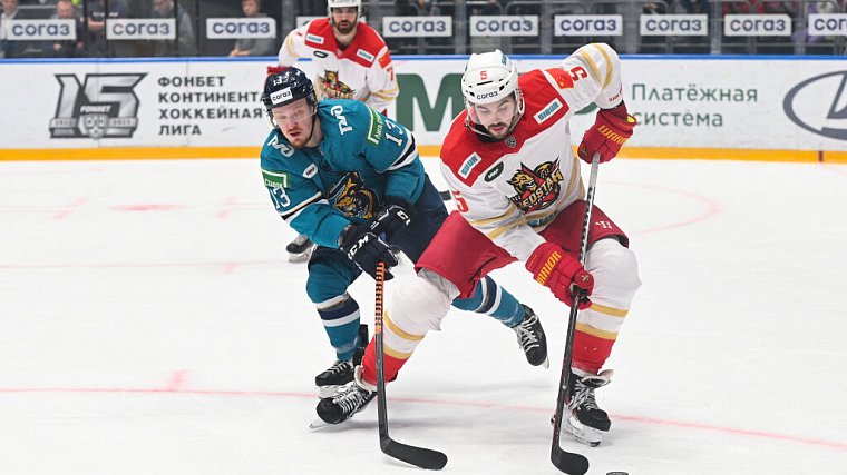 Крикунов предложил ввести переходный турнир между КХЛ и ВХЛ - фото