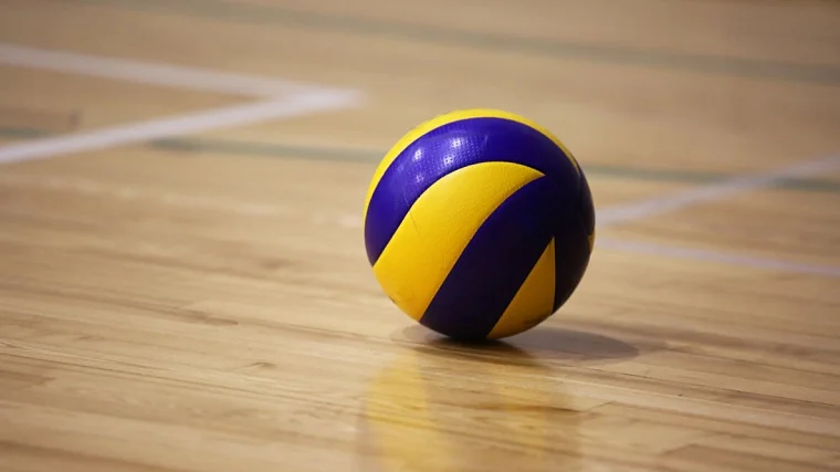 Алексей Вербов: Волейбольная держава должна достойно выступать и в зале, и на песке - фото