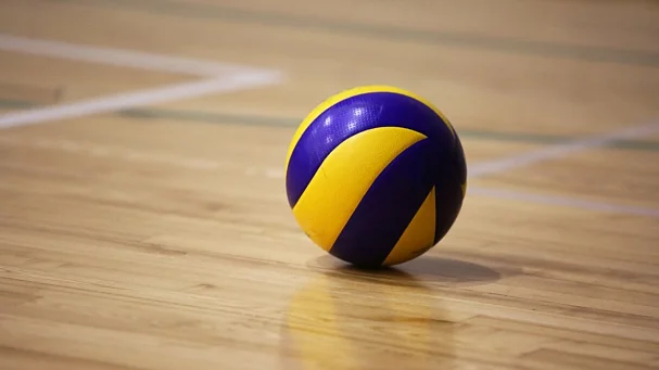 Владимир Стецко: Новые правила волейбола введены в интересах бразильского телевидения - фото