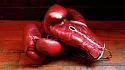 Украинец Гвоздик оформил третий нокаут своим соперникам в профессиональном боксе - фото